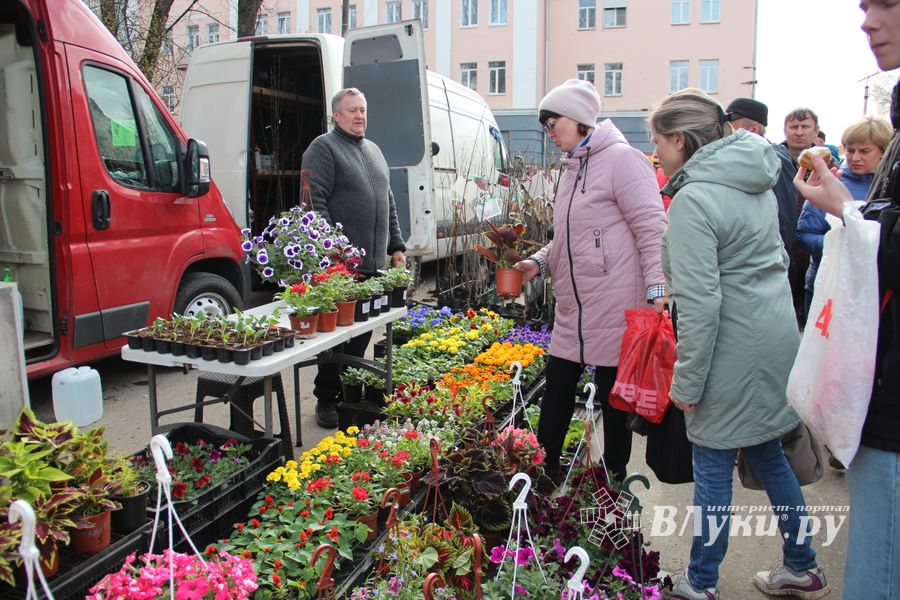 В Великих Луках прошла ярмарка «Весна - 2022» (ФОТО)