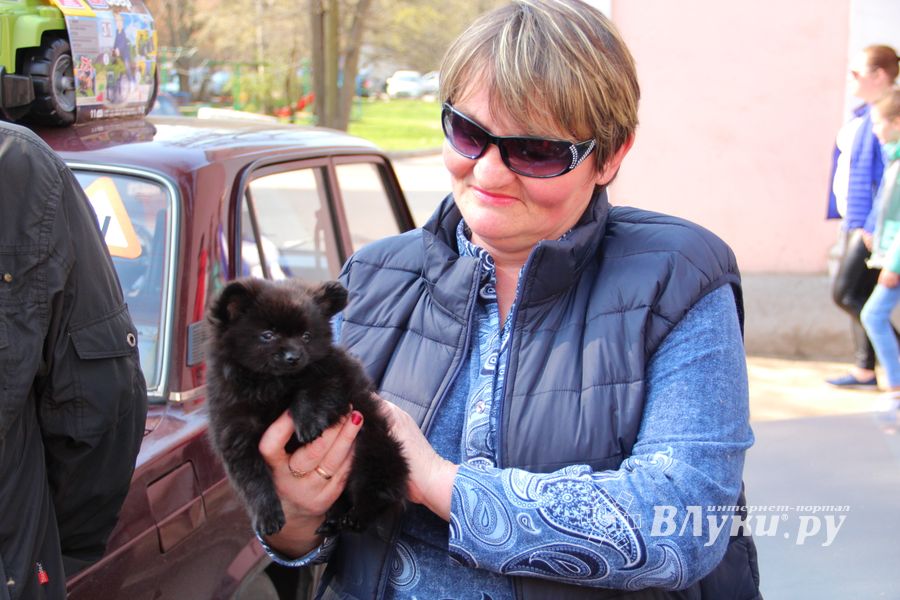 СТЦ «СтройСам» порадовал великолучан на универсальной ярмарке «Весна-2018» (ФОТО)