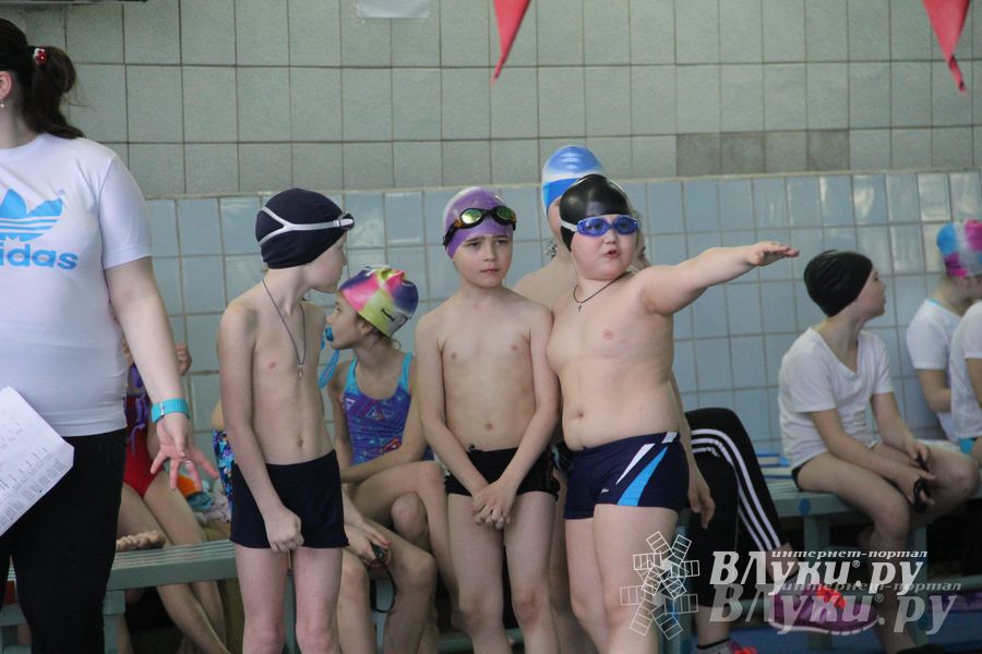 В Великих Луках прошли соревнования по плаванию «Весёлый дельфин»
