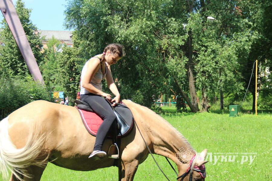 В городском парке Великих Лук прошёл День мороженого