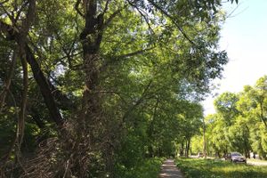 Опасный тротуар на проспекте Гагарина (ФОТО)