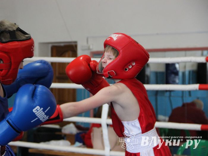 Юные великолучане выявили сильнейших боксёров (ФОТО)