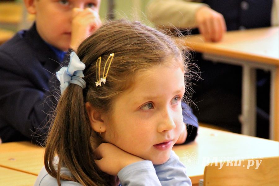 Первоклассников школы №13 посвятили в пешеходы (ФОТО)