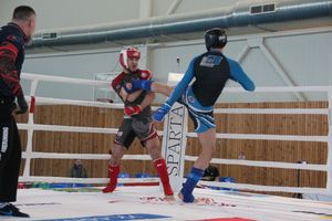 В Великих Луках завершилось Первенство России среди юношей по смешанному боевому единоборству ММА (ФОТО)