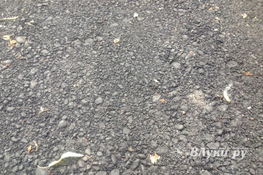 Великолучанка пожаловалась губернатору на новый асфальт во дворе (ФОТО)