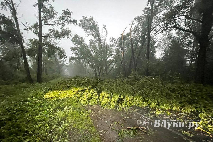 Весь ужас вчерашнего урагана в Великих Луках и районе (ФОТО, ВИДЕО)
