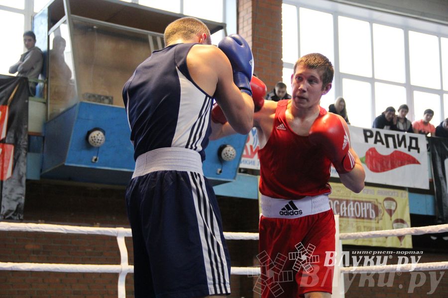 16-й Международный турнир по боксу (фото)
