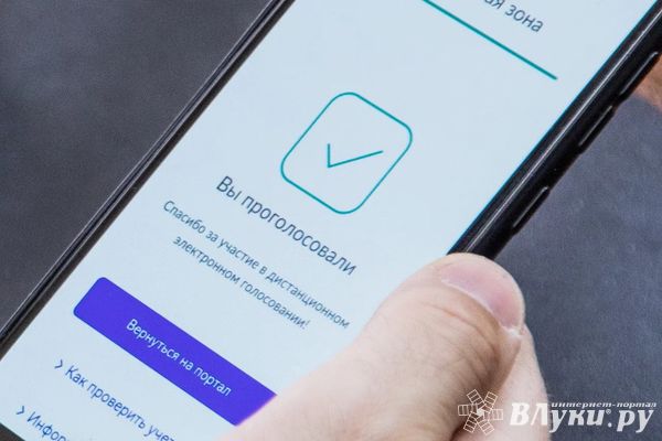 В Псковской области подведены предварительные итоги трехдневного голосования