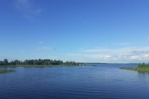©ВЛуки.ру