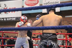 В Великих Луках прошел межрегиональный Открытый Кубок по смешанному боевому единоборству (фото)