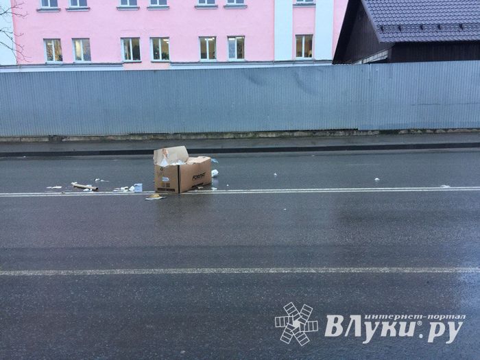 Неопознанный валяющийся объект «украсил» дорогу в Великих Луках.