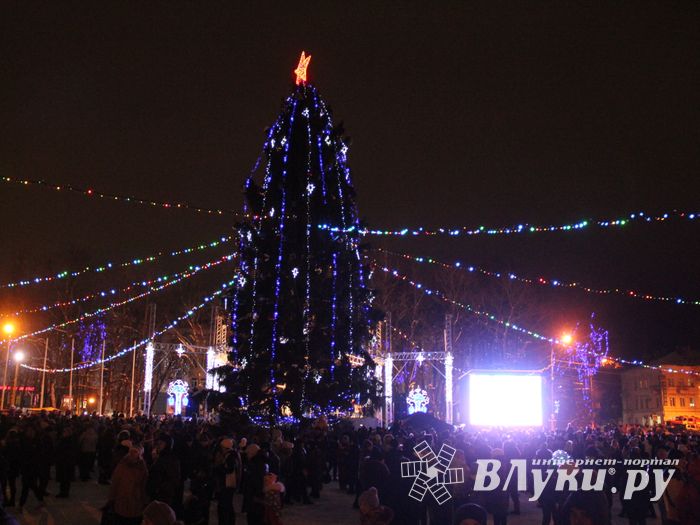 В Великих Луках зажглась новогодная ёлка (ФОТО)