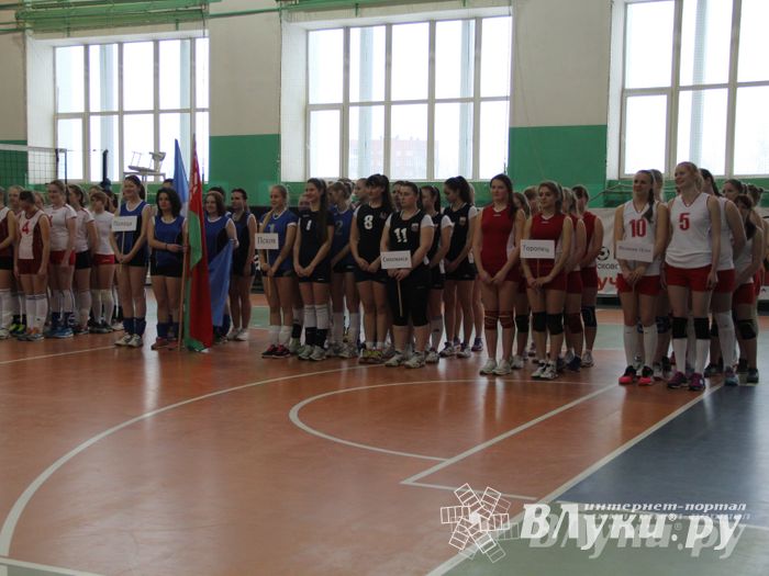 В Великих Луках прошли международные соревнования по волейболу (фото)