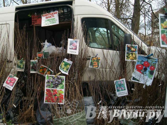 Весенняя ярмарка 2013 прошла в Великих Луках
