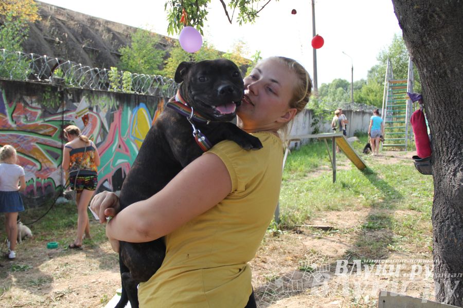 День открытых дверей на спортивно-дрессировочной площадке