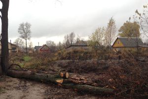 Чистка речки Лазавица