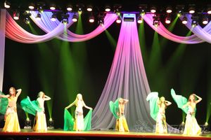  В ДК ЛК проходит четвертый ежегодный фестиваль танца (фото)