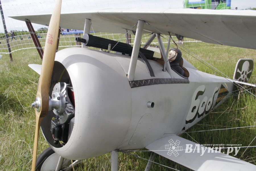 В Великих Луках состоялся «Фестиваль Авиамодельного Спорта России 2017» (ФОТО)