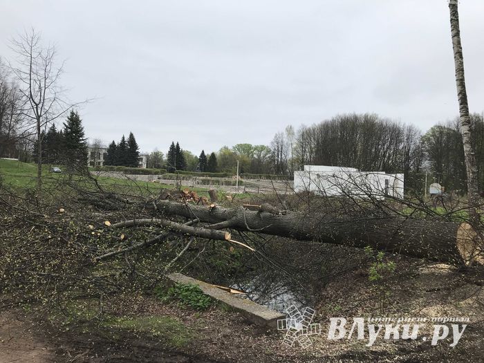 В будущем Петровском парке завершается очередной этап работ (ФОТО)