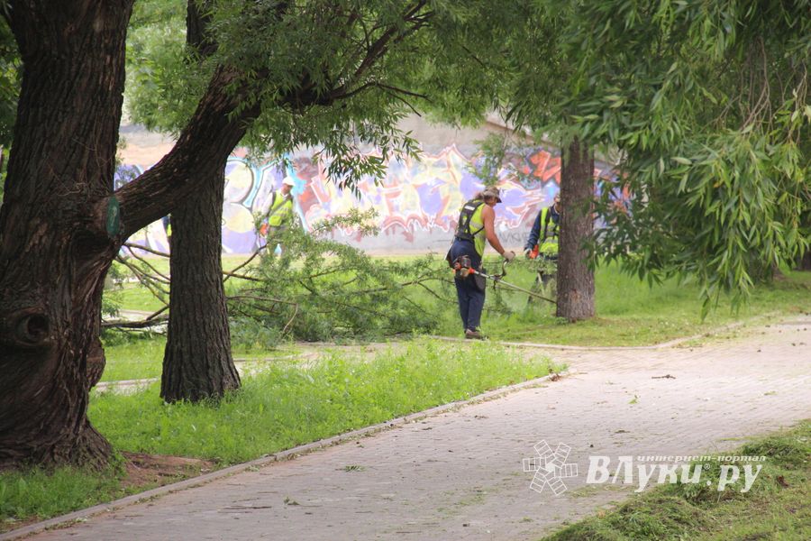 В Великих Луках сажают, стригут и красят (ФОТО)