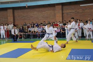 Великолучане стали победителями турнира по каратэ «Неприкосновенный запас, дети — Отчизны 2015» (фото)