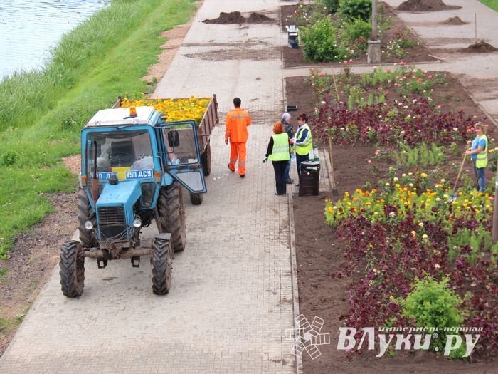 В Великих Луках сажают, стригут и красят (ФОТО)