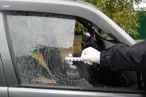 В Псковской области неизвестные расстреляли дачника (фото)