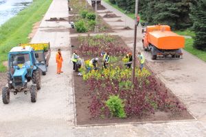 В Великих Луках сажают, стригут и красят (ФОТО)