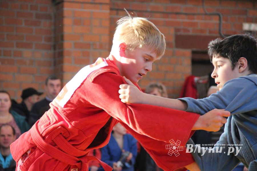 Великолучане завоевали награды турнира по самбо «Память» (ФОТО)