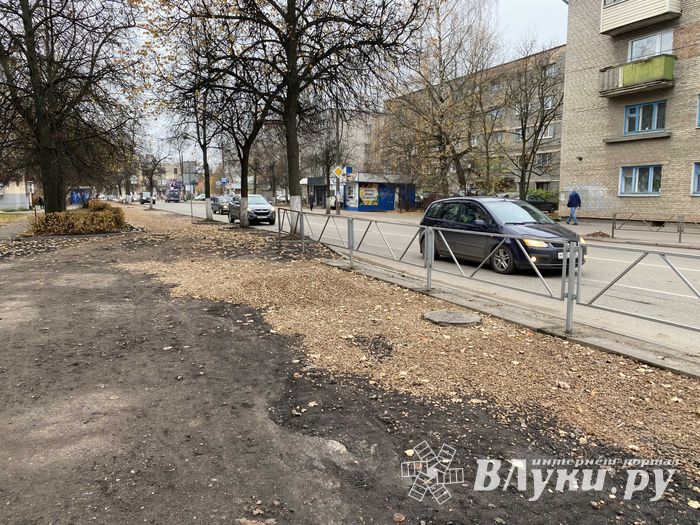 Пешеходам-великолучанам советуют не пользоваться смартфонами (ФОТО)