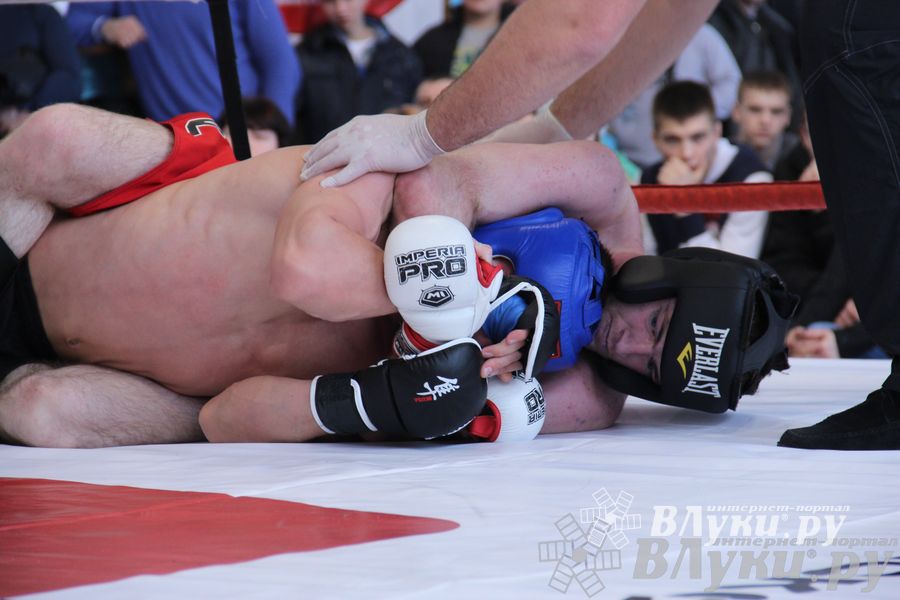 Открытый Кубок города Великие Луки по смешанному боевому единоборству (ММА)