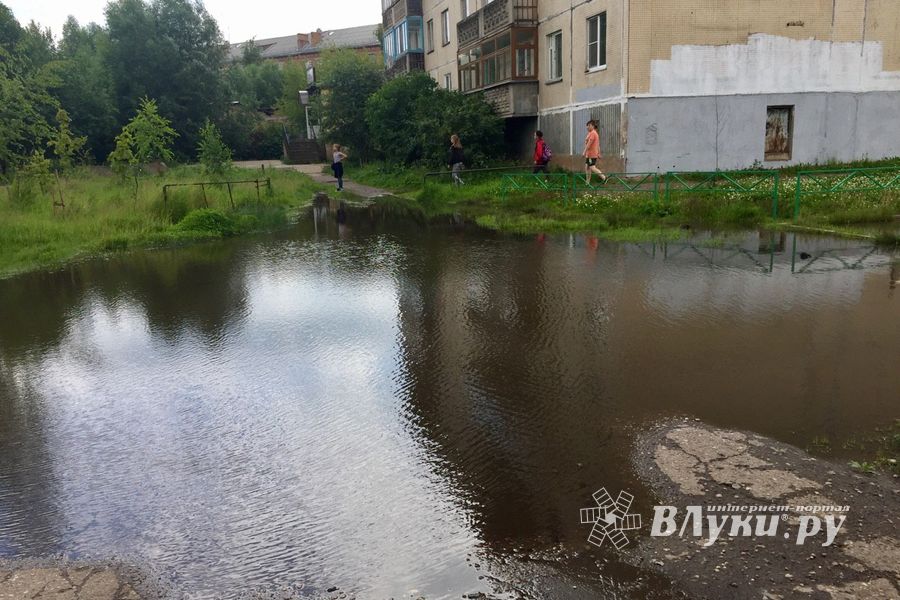 Великолучан беспокоит озеро во дворе дома (ФОТО)