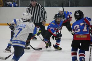 В Великих Луках прошел детский Открытый турнир по хоккею (ФОТО)