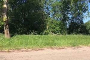 Трава у дома (ФОТО)