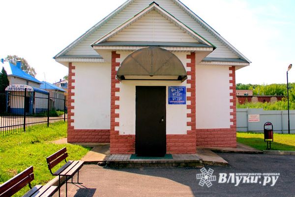 В Великих Луках введён карантин по бешенству