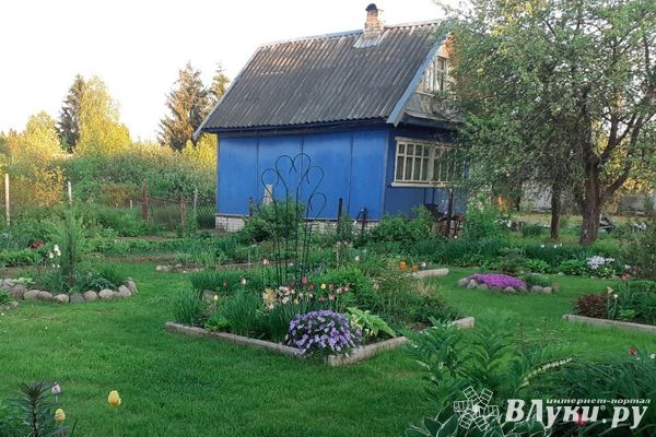 Великолучанин обворовал своего отца