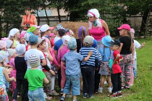 В детском саду встретили День семьи, любви и верности