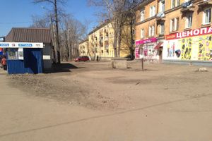 Весне дорогу!