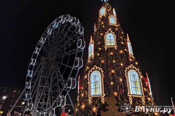 Сегодня в Великих Луках будет пасмурно, возможен дождь