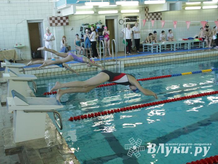 В Великих Луках прошел Чемпионат и Кубок города по плаванию (фото)