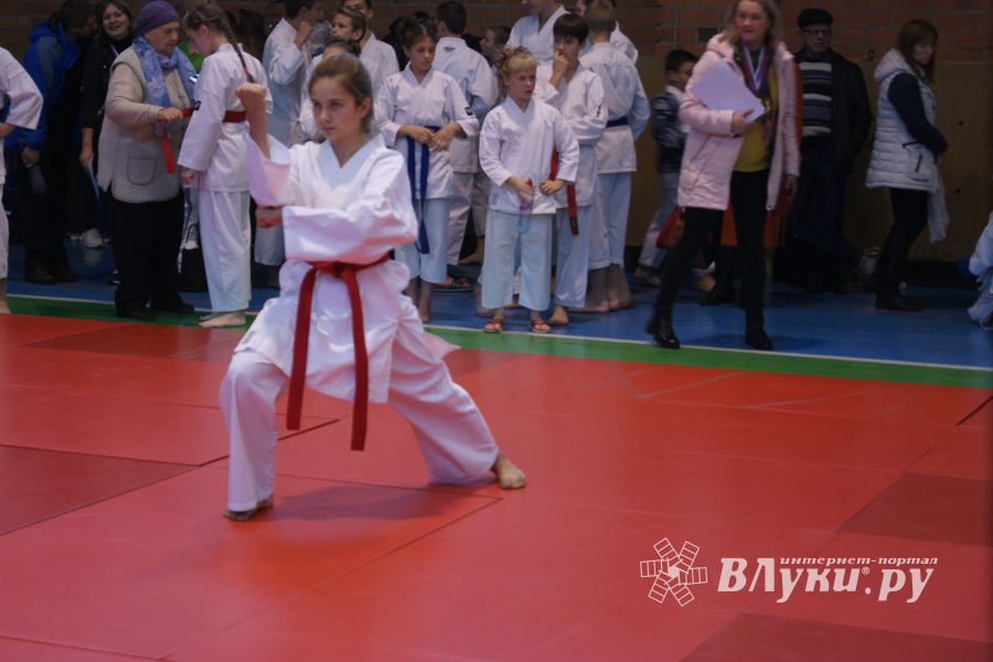 В Великих Луках прошли соревнования по каратэ (ФОТО)