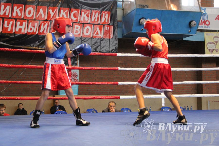3-й день соревнований Международного турнира по боксу
