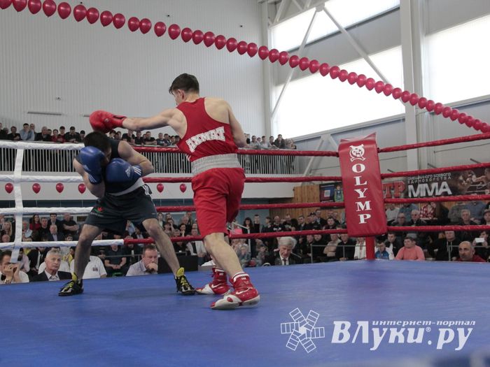 Матчевая встреча по боксу Великие Луки —Псков — Грозный (ФОТО)