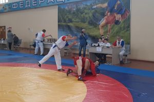 Великолучане привезли золотые медали с  регионального турнира по самбо (ФОТО)