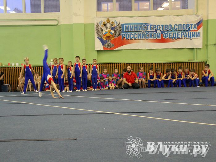 В Великих Луках состоялось Первенство по командной гимнастике (фото)