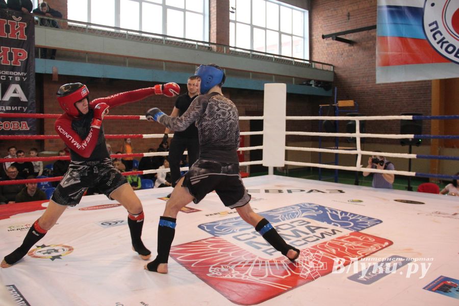 В Великих Луках прошел международный открытый Кубок по смешанному боевому единоборству (ФОТО) (16+)