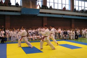 Кубок Псковской области по каратэ прошел в Великих Луках (фото)