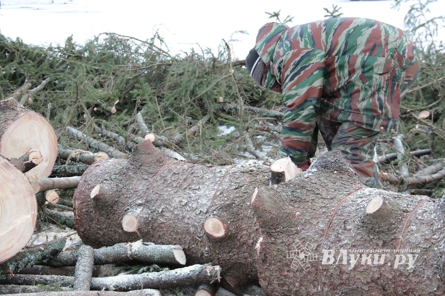 Главная городская ёлка отправилась на свалку (ФОТО)