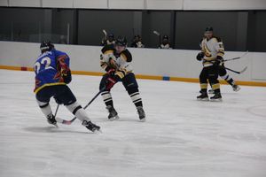 Великолукские хоккеисты одержали победу на домашнем льду (ФОТО)