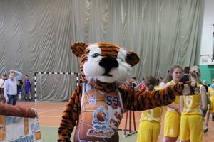 Чемпионат ШБЛ «КЭС-БАСКЕТ» сезона 2013-2014 гг.  Псковской области